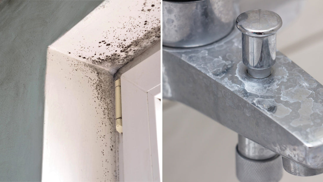 Sådan fjerner du kalk og skimmel naturligt med damp