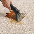 Rennoa™ SpotCleaner